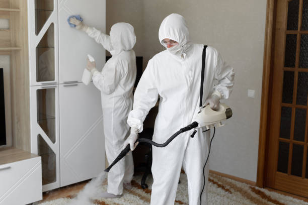 24/7 Emergency Odor Removal experts in Yorktown, TX